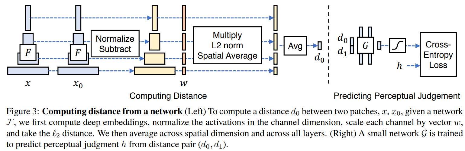 Network Architecture